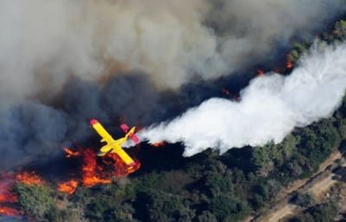 I bombardieri acquatici sono nati dall’ingegneria aeronautica del Quebec