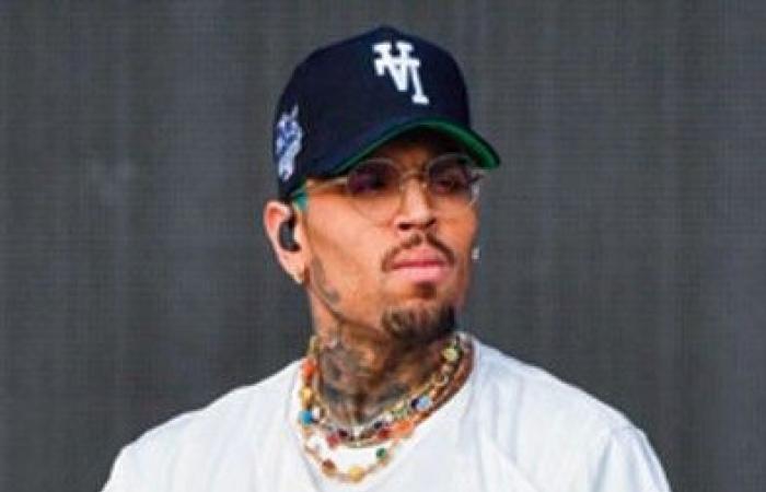 Chris Brown richiede $ 500 milioni da Warner Bros per il documentario