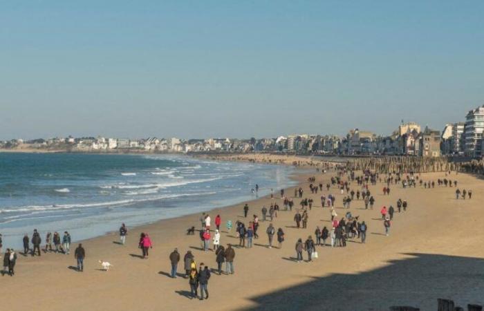 L’età degli acquirenti fa il grande divario tra Rennes e Saint-Malo