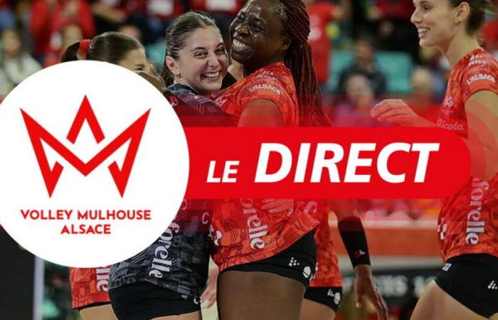 Pallavolo. Segui in diretta a partire dalle 20:30 la partita tra il Volley Mulhouse Alsace e il Paris-Levallois