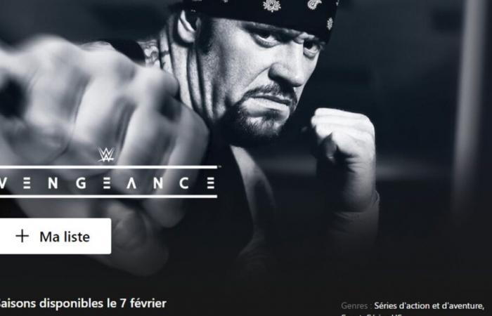 7 nuovi WWE arrivano su Netflix