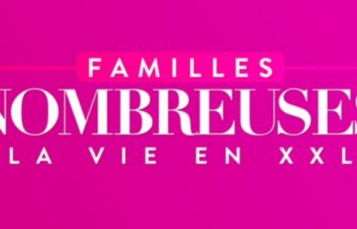 Le famiglie numerose tornano finalmente su TF1, queste nuove tribù che si uniscono al programma