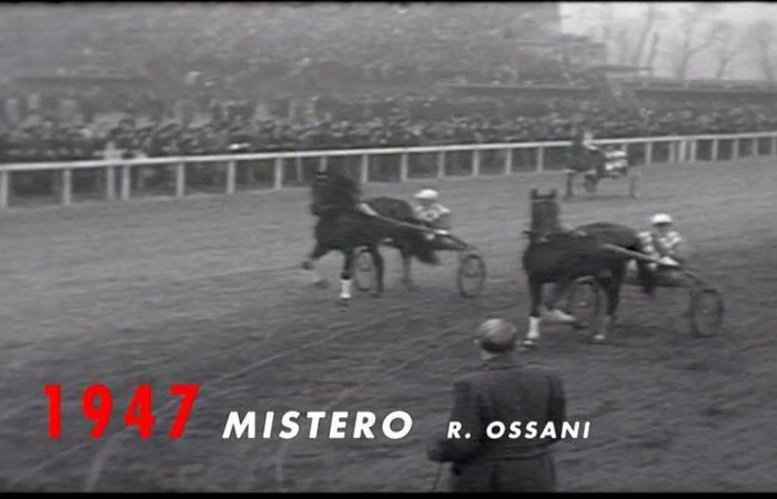 quando il trottatore “Sky du Padoueng” quasi vinse il Prix d’Amérique