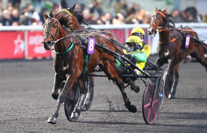 Premio Paul Viel 2025 a Parigi-Vincennes: Golden Gio continua