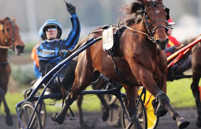 Tillard Idao alla ricerca di un secondo titolo in Améique il Prix