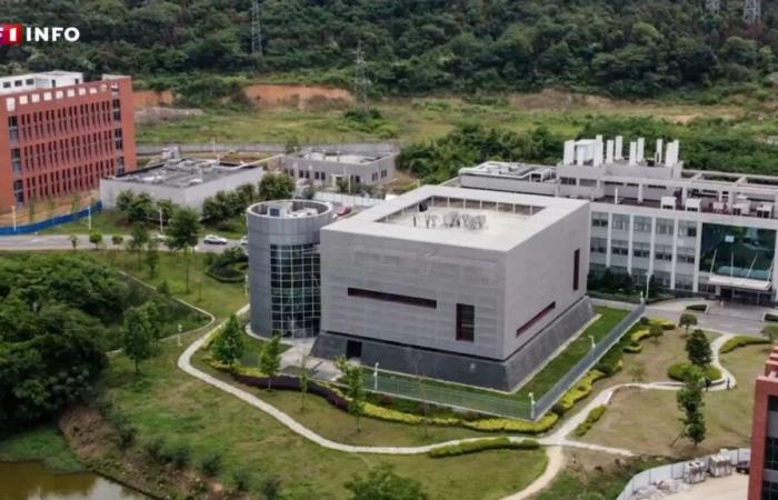 Secondo la CIA, la comparsa del Covid-19 è probabilmente dovuta a una fuga di dati dal laboratorio di Wuhan