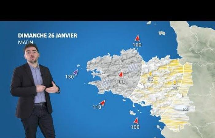 Il tempo per la tua domenica 26 gennaio 2025 – Notizie meteo