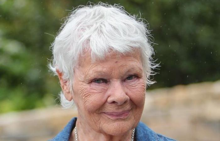 Judi Dench non può più andare da sola agli eventi a causa dei suoi problemi di vista