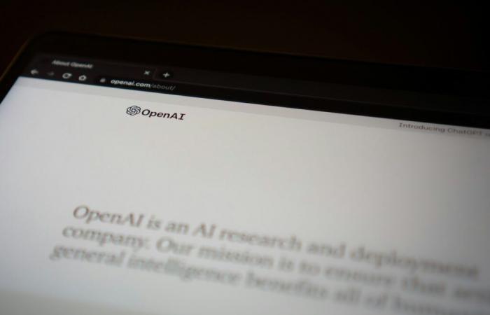 Perché i libri editori in India attaccano Openai in tribunale