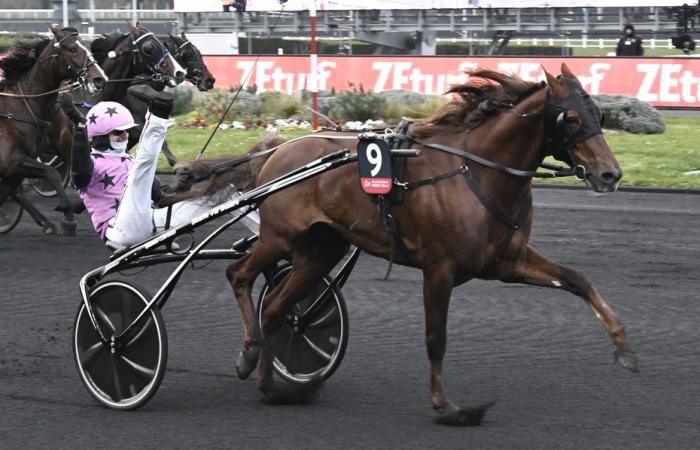 Tutto ciò che devi sapere prima del 104 ° Prix in America, il World Trotteurs Championship