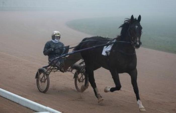 Nicolas e Jean-Michel Bazire, la corsa all’eredità