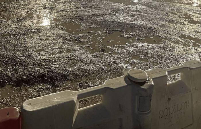 Ogni giorno Alestem, un primo giorno allagato, di acqua e persone