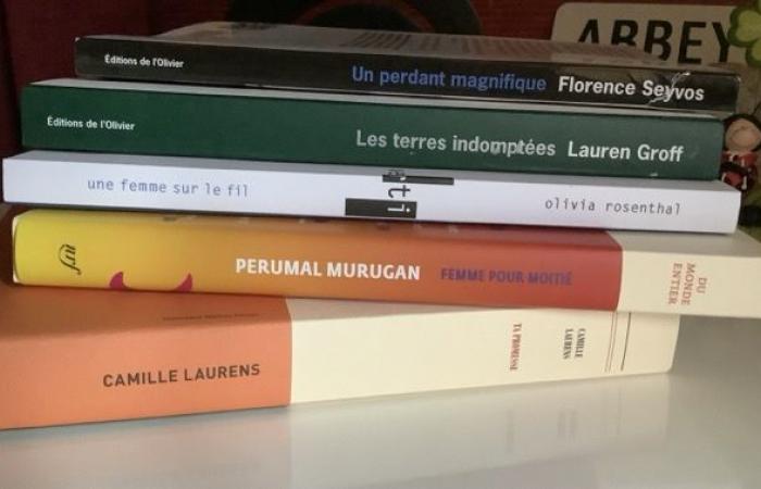 Qualcosa di nuovo nella mia biblioteca (4/25)