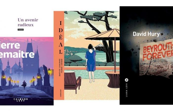 Libri di Pierre Lemaitre, Céline Robert, David Hury, Baptiste Chaubard e Thomas Hayman, Jean-Christophe Deveney e Tommy Redolfi