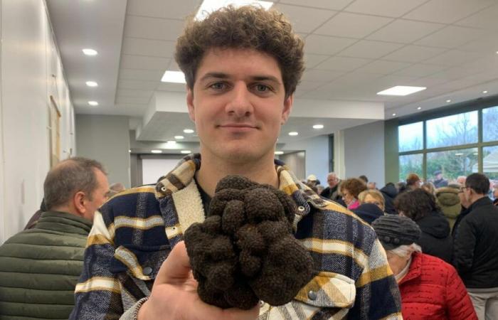 Nelle immagini – A 24 anni, ha vinto la competizione per il più grande tartufo di Dordogne grazie alla sua scoperta che pesa quasi 600 g