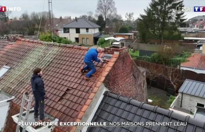 Perché le case francesi prendono acqua