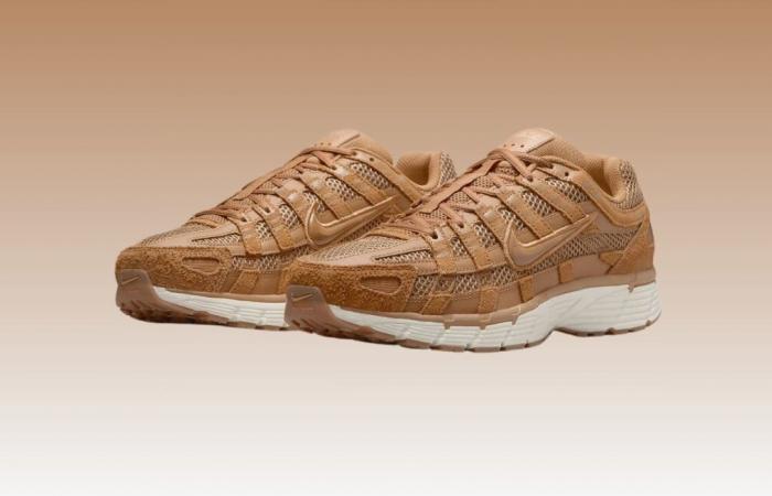 Queste sneakers Nike P-6000 SE hanno un prezzo raramente visto prima