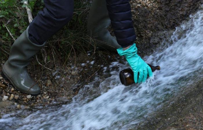 “La contaminazione del mondo da parte del PFAS costituisce un disastro perfetto, distopico in tutte le sue dimensioni”