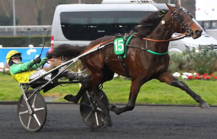 Frank Gio, questa auto da corsa