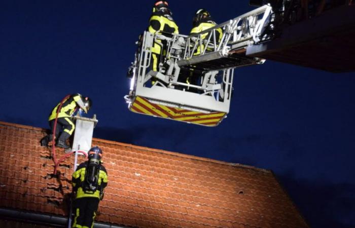 Dubbi. Chimney spara, “un problema da prendere sul serio”