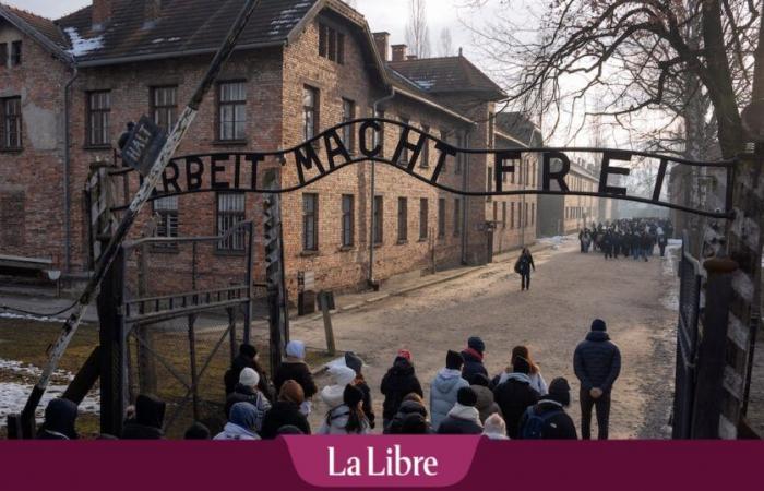 “Viviamo in una stupida società che ha creato Auschwitz-Birkenau e sono convinto che possa succedere di nuovo”