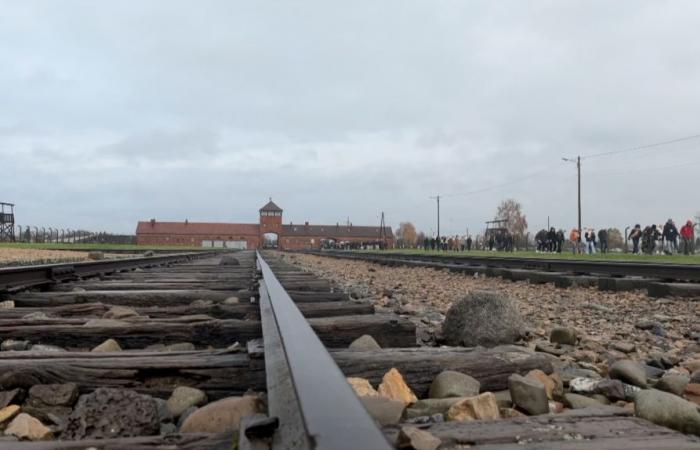 Moselle commemora 80 anni dalla liberazione di Auschwitz