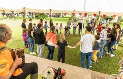 Ille-et-Vilaine: questo festival celebra la musica tradizionale