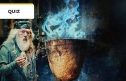 Quiz Harry Potter: 10 domande per vincere la Coppa! – Notizie sul cinema