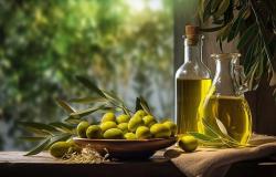 L’olio d’oliva algerino vince la medaglia d’oro in Svizzera