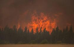 Incendi boschivi: BC offre strumenti per preparare meglio i residenti | Incendi boschivi in ​​Canada
