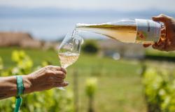 La riserva climatica del vino si invita al Grand Conseil Vaudois