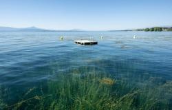 L’EPFL lancia un progetto partecipativo per valutare lo stato di salute del Lago di Ginevra
