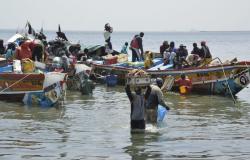Cooperazione tra Senegal e UE: Jean-Marc Pisani dettaglia l’accordo di pesca – Lequotidien