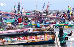 SENEGAL-PECHE-MESURES / Attori di Mbour accolgono con favore la pubblicazione dell’elenco delle navi autorizzate a pescare – Agenzia di stampa senegalese