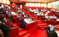 Il Senato nigeriano propone la pena di morte per traffico di droga