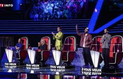 “The Voice”: un favorito eliminato, un “piccolo UFO”… Chi sono i semifinalisti della stagione?