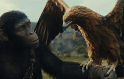 “Il pianeta delle scimmie: Il nuovo regno”, blockbuster solido ma poco innovativo – rts.ch