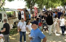 il festival dei Food-trucks registra il numero record di 130.000 visitatori