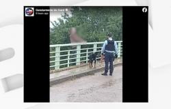 un uomo rinuncia a lanciarsi dall’alto di un ponte sulla A9 quando vede il suo cane