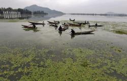 La NGT cerca un’azione urgente per il peggioramento delle condizioni di Dal Lake