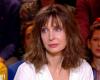 “Svalutata” di Alain Delon, Anne Parillaud confida la loro relazione e la sua richiesta di “perdono” (VIDEO)