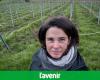 Gochenée: un viticoltore protegge le sue vigne dalle gelate tardive con tubi a infrarossi (video)