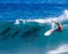 “È stato magico”: una surfista accompagnata dai delfini vince il suo primo campionato del mondo