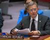 La crisi haitiana al Consiglio di Sicurezza delle Nazioni Unite