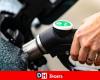 Frode carta carburante a Seneffe: licenziato un brigadiere municipale per 278 euro di benzina respinta dal Consiglio di Stato