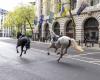 I cavalli in fuga seminano il caos nel centro di Londra