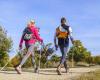 Come camminare a ritmo sostenuto può aiutare a rallentare il processo di invecchiamento – Edizione serale Ouest-France