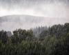 falde acquifere al livello più alto a causa delle forti piogge – Angers Info