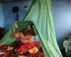 199 morti per malaria nel 2023