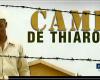 Festival di Cannes: ”Camp de Thiaroye” selezionato nella selezione ”Classici di Cannes”